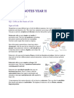 Bio Notes (YR11)