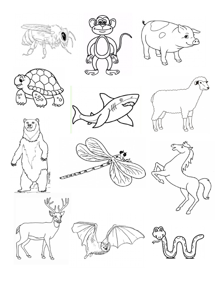 Test pdf