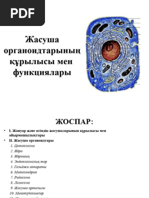 Күлкілі майлар