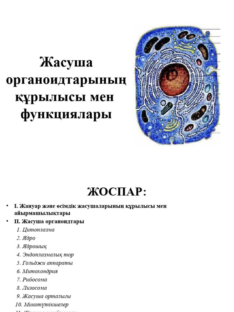 Ересектерге арналған порно видеолар