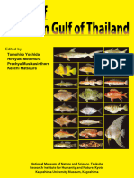 Fishes of Northern Gulf of Thailand