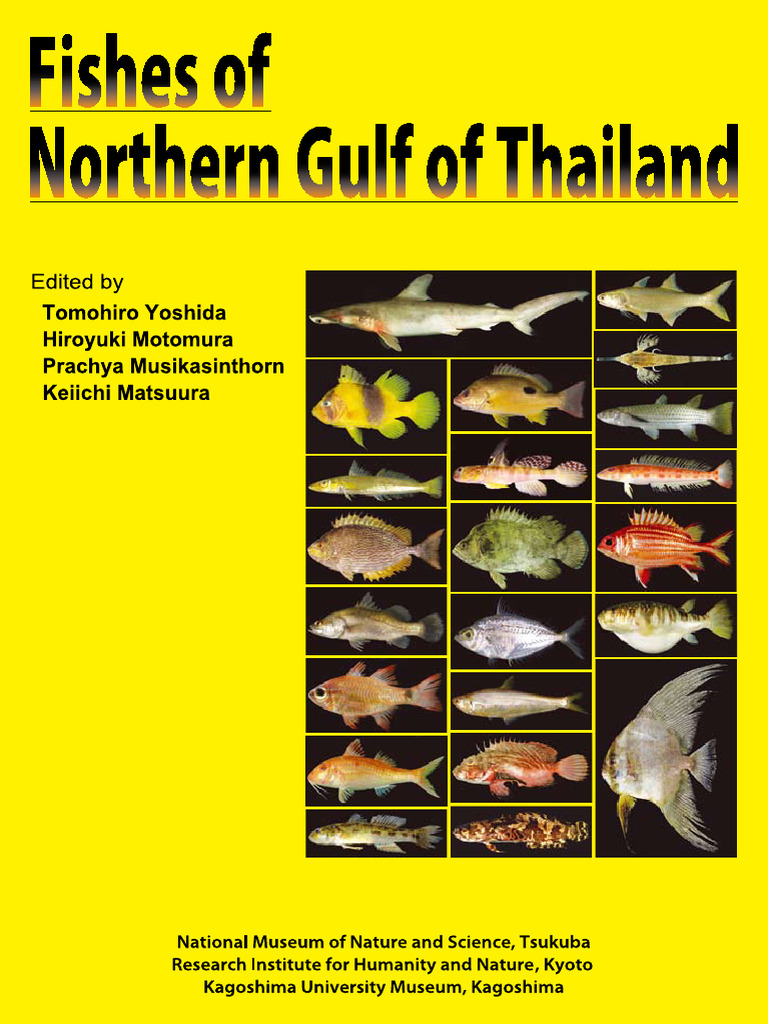 Fishes of Northern Gulf of Thailand | PDF | Fish