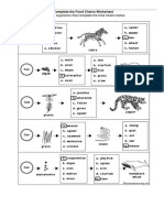 G6-Food Chain and Web-Sc