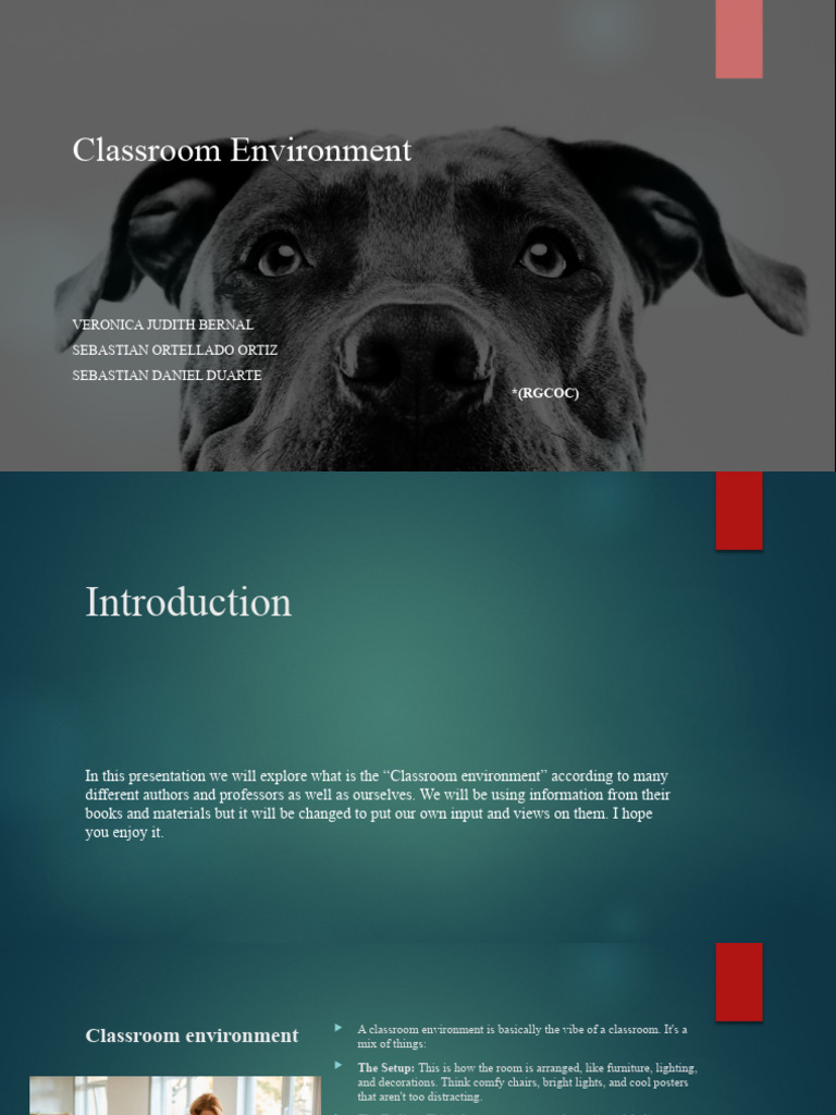 Classroom Environment Pdf Classroom Learning