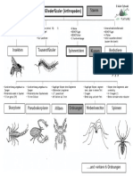 Arthropoden AS DT