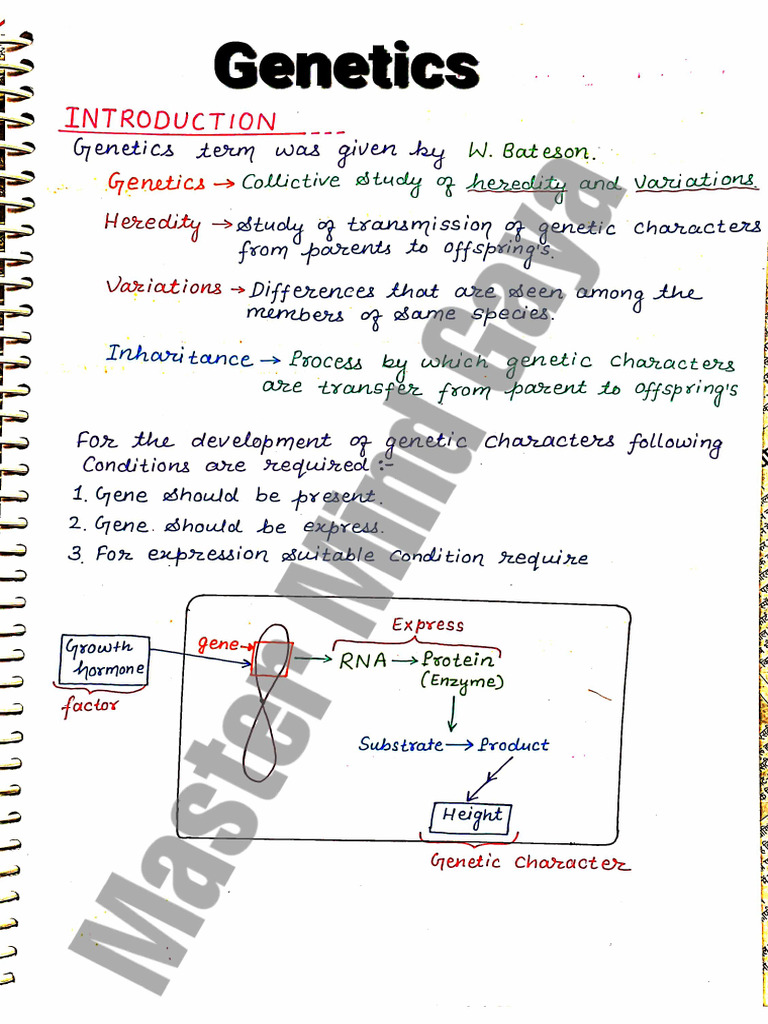 Genetics Notes | PDF