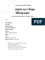 Александар Поповић, Развојни Пут Боре Шнајдера