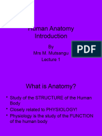 Anatomy Introduction by Mrs M Mutsangu