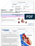 Planeamiento Reemplazo de Valvula Aortica