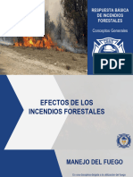 Clase 1 Forestal