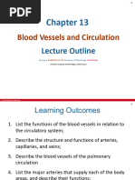 Chapter 13 - Blood Vessels and Circulation