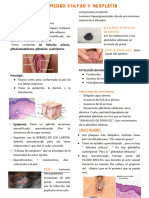 11.1 Enfermedad Vulvar y Neoplasia