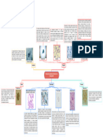 Protozoarios Parásitos de Importancia en Salud Pública