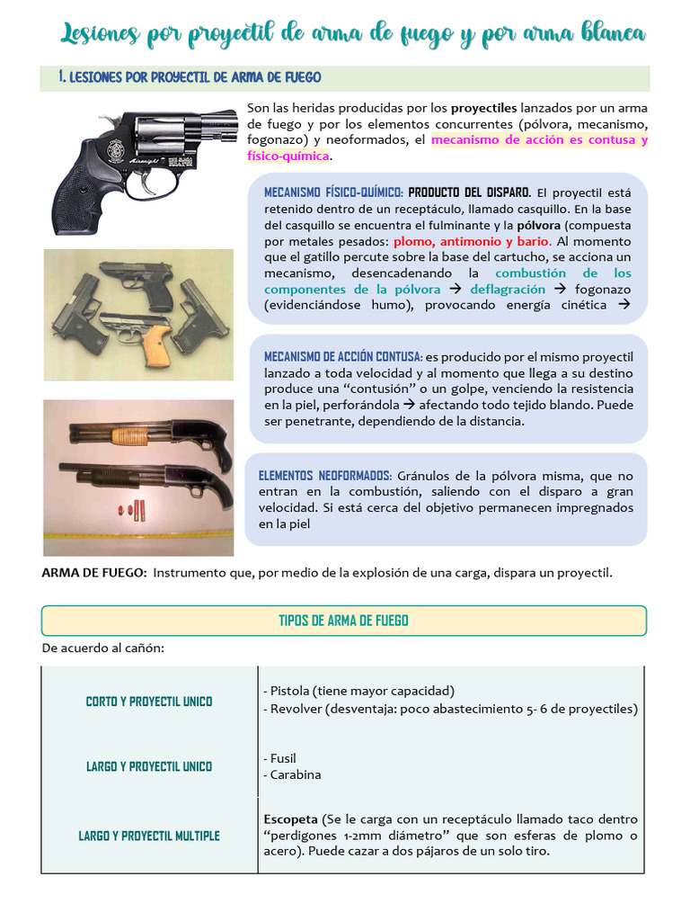 Lesiones Por Proyectil de Arma de Fuego y Por Arma Blanca | PDF | Armas ...
