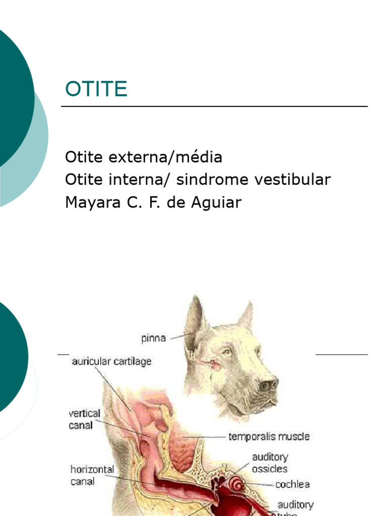 OTITE | PDF | Otorrinolaringologia | Doenças e distúrbios