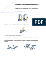 Fuerza Acondicionamiento Gimnnasio Microciclo 1-3