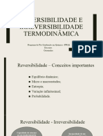 Seminário Reversibilidade e Irreversibilidade