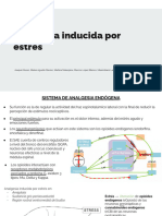 Analgesia Inducida Por Estrés