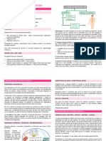 Apunts Neuroanatomia