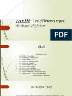 Les Différents Types de Tissus Végétaux