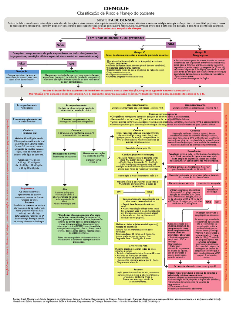 fluxograma-classificacao-de-risco-dengue-2024-pdf-choque
