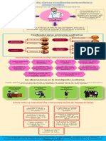 Infografia Investigacion