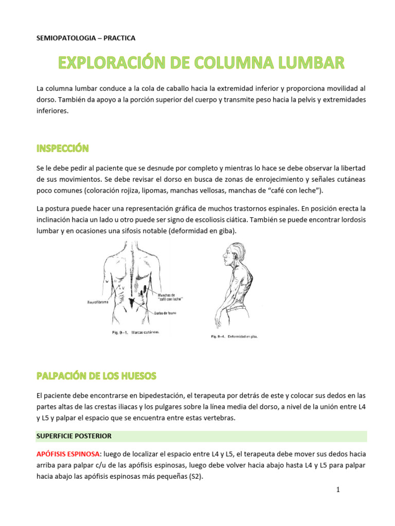 Evaluación de la Columna Lumbar | PDF | La columna vertebral | Sistema ...