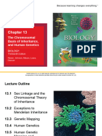U4 Chapter 13 The Chromosomal Basis of Inheritance and Human Genetics - Tagged