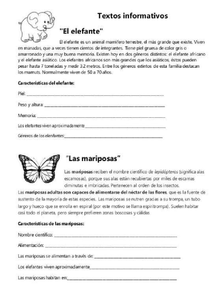 Textos Informativos | PDF