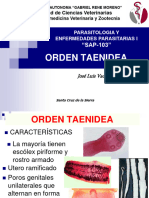 2 Orden Taenidea Taenia Soleum y Saginata