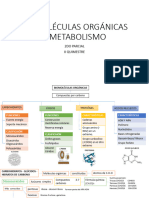 Biomoléculas Orgánicas y Metabolismo.