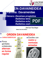 5 Orden Davaineidea