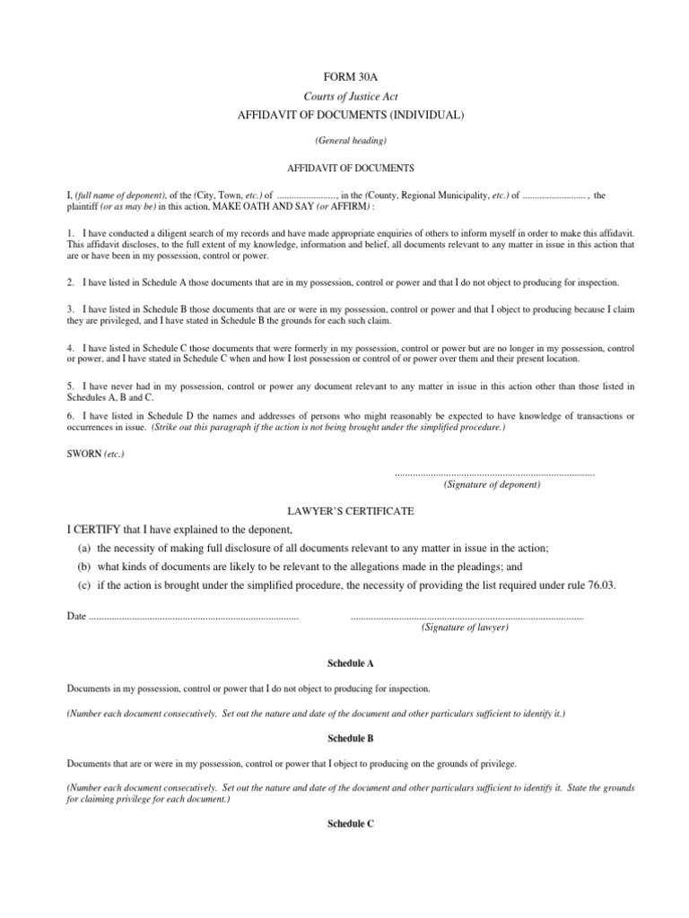 Affidavit of Documents Template | PDF | Affidavit | Government