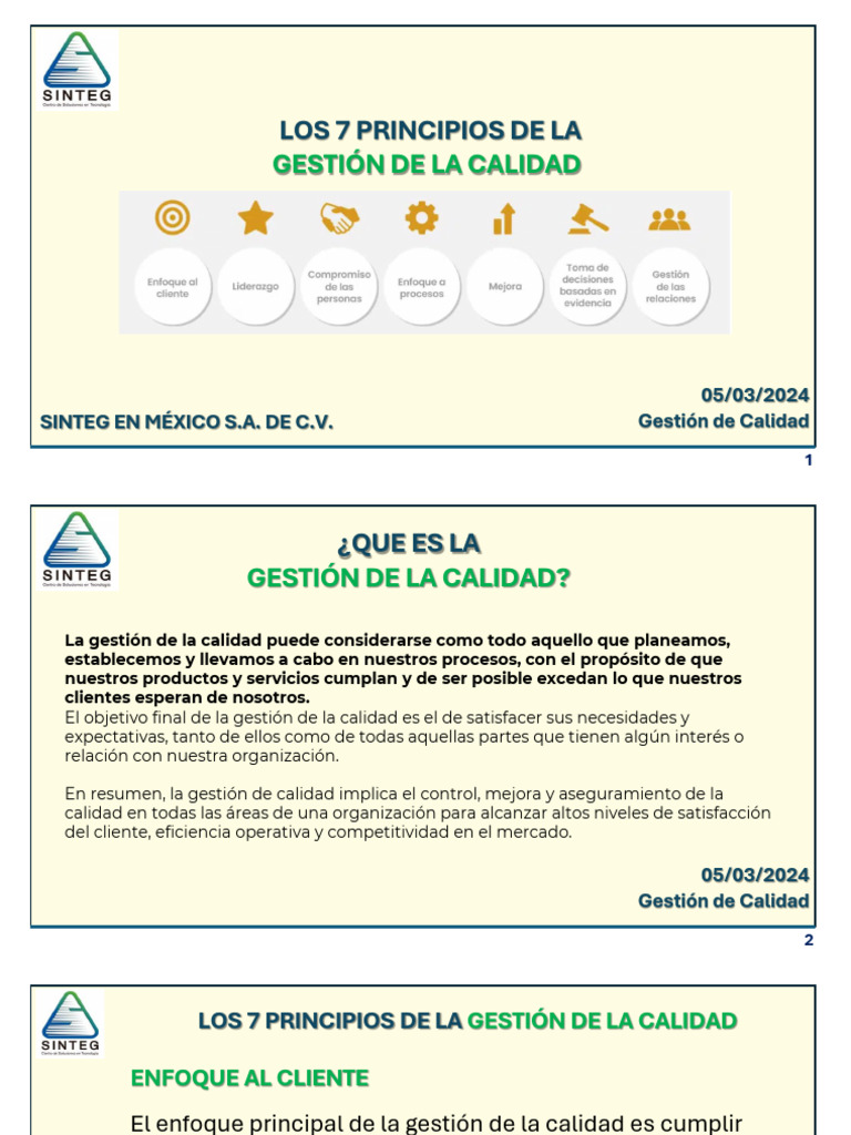7 Principios Gestión De Calidad Pdf Gestión De La Calidad Calidad