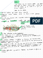 Citología II