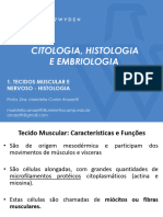 Aula Tecidos Muscular e Nervoso 1