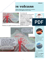 Les Volcans