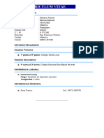 02 CURRICULUM VITAe Mariano Antonio