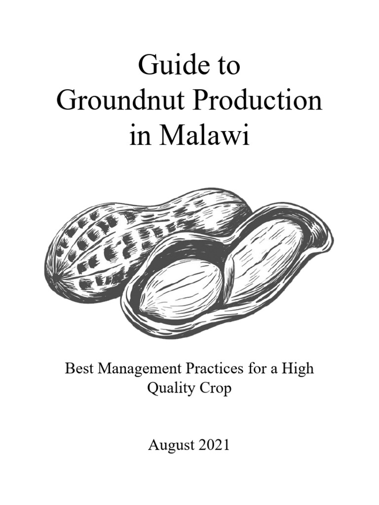 Groundnut Production Best Practices Malawi | PDF | Peanuts | Seed