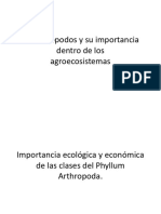 2 Los Artropodos y Su Importancia