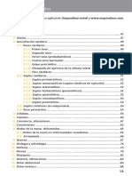 MIBE22 Indice de Contenidos 2