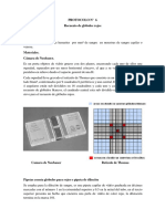 Protocolo #6 - Recuento de Rojos Camara de Newbayer