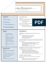 Professional 20resume 201