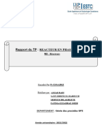 Rapport Reacteur PDF