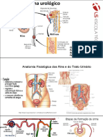 Sistema Urológico 3