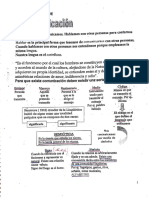 Resumen Homero TGD - Compressed