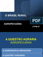 A Questão Agrária - Brasil