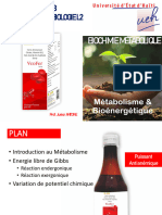Métabolisme Et Bioénergétique 23-24-085953