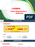 Álgebra: Tema: Exponentes y Radicales