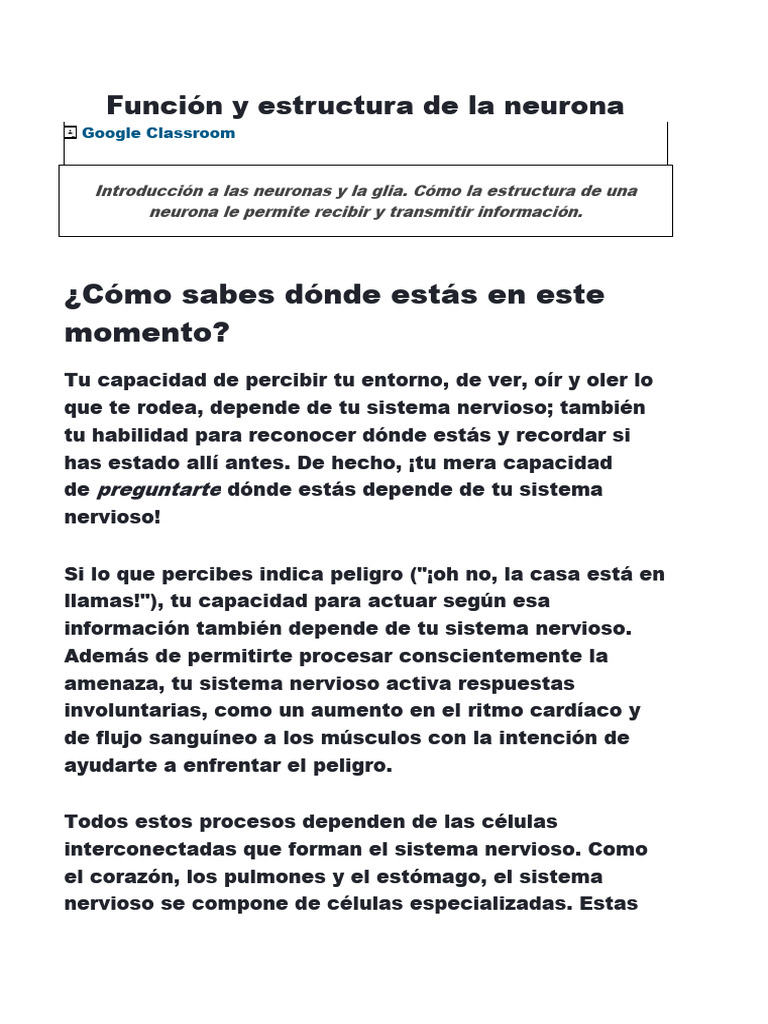 Estructura y función de las neuronas | PDF | Sinapsis | Neurona
